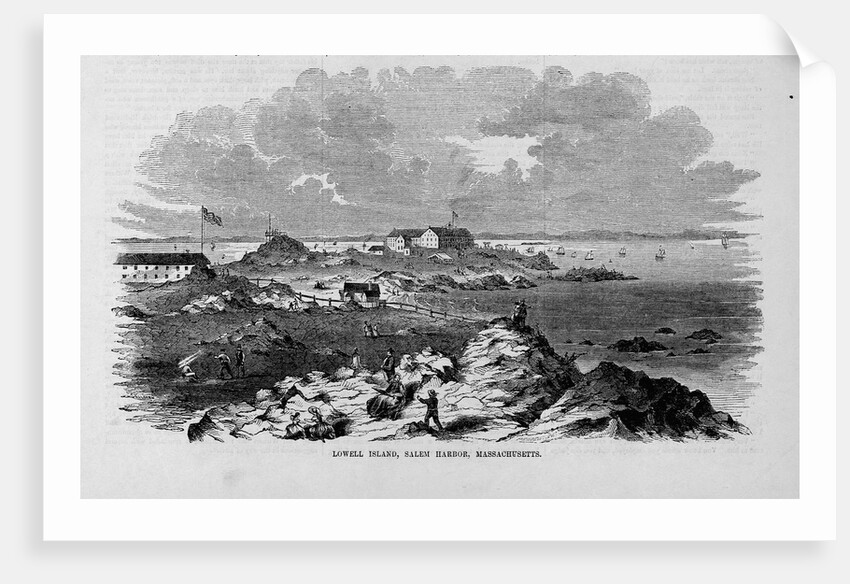Lowell Island, Salem Harbor, Massachusetts by Anonymous