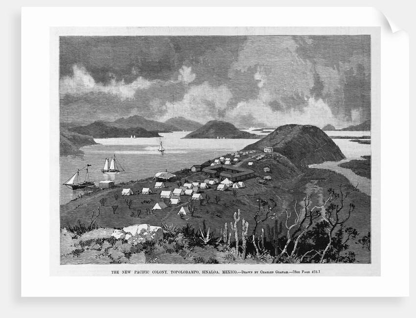 The New Pacific Colony, Topolobampo, Sinaloa, Mexico by Charles Graham