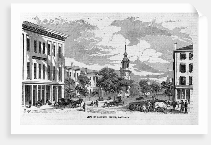 View in Congress Street, Portland, Maine by Anonymous