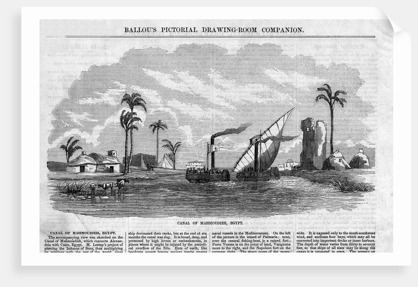 Canal of Mahmoudieh, Egypt by Anonymous