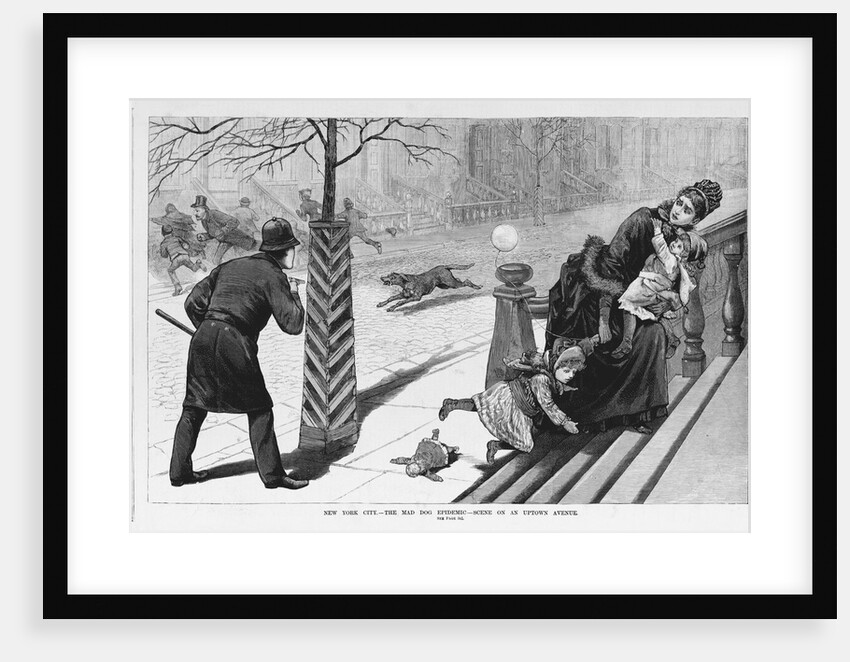 New York City. - The mad dog epidemic - scene on an uptown avenue by Anonymous