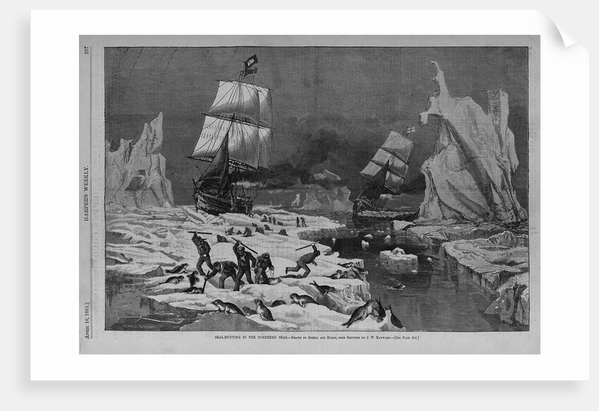 Seal hunting in the northern seas by Schell and Hogan, from sketches by J.W. Hayward