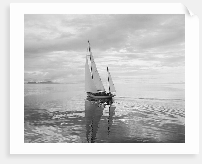 The Maruffa Sailboat in Calm Water by Anonymous