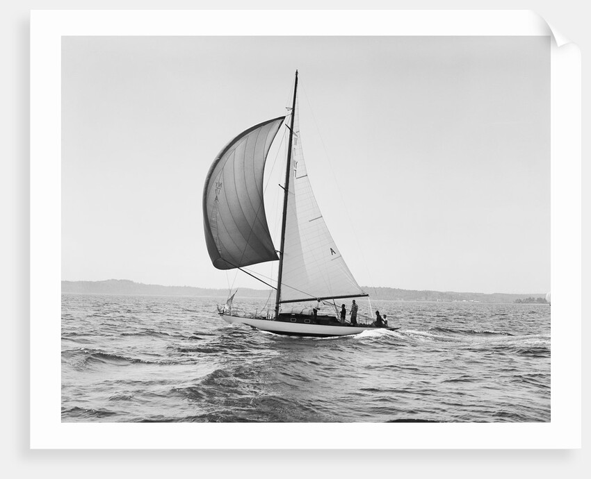 A Sailboat Running with Its Spinnaker Up by Anonymous