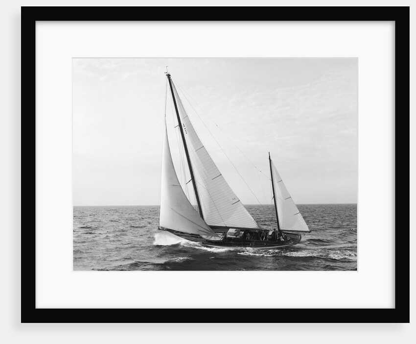Winner of the Swiftsure Race by Anonymous