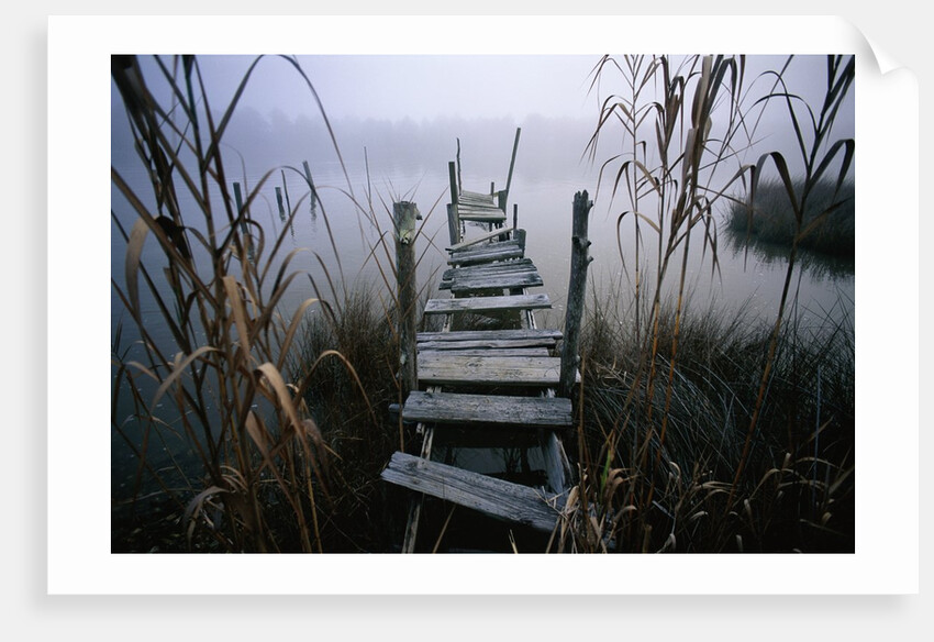 Weathered Dock in Fog by Anonymous