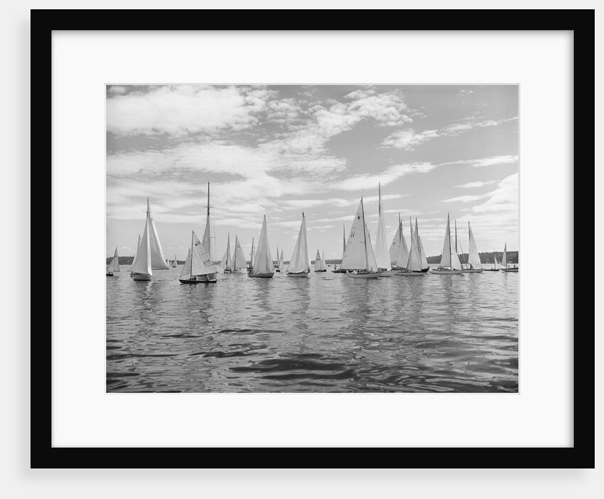 Boats Lined Up for a Race on Lake Washington by Anonymous