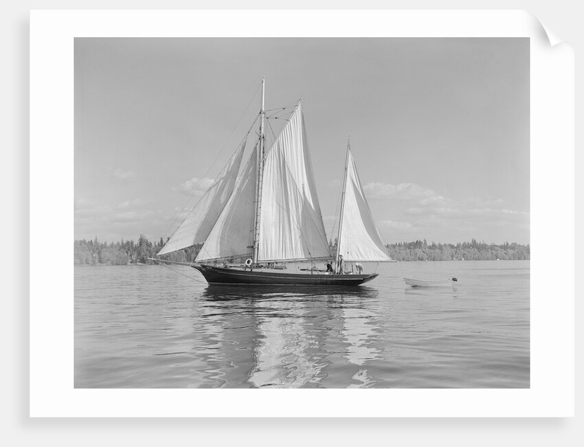 The Thetis Sailing on Lake Washington by Anonymous
