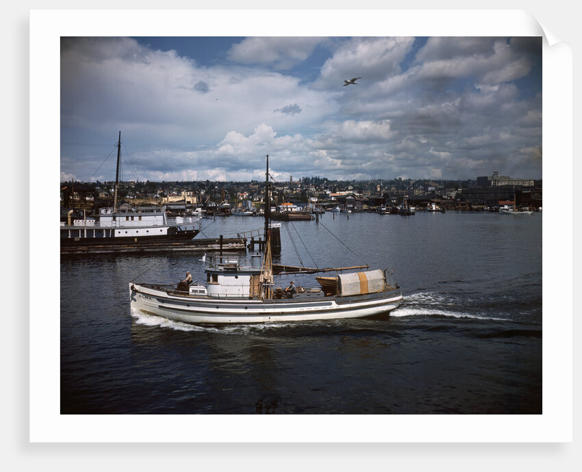 Halibut Fishing Vessel Alma in Salmon Bay by Anonymous