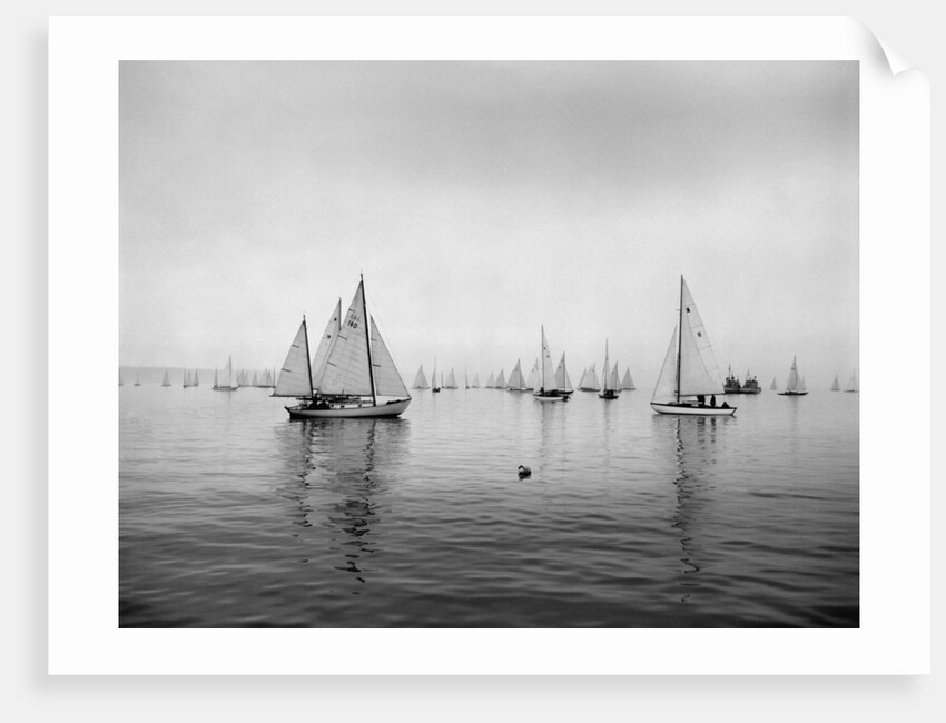 Sailboats Waiting to Race by Anonymous