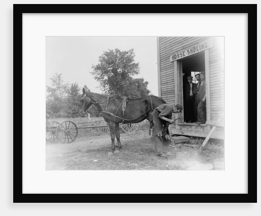 Blacksmith Shoeing a Horse by Anonymous