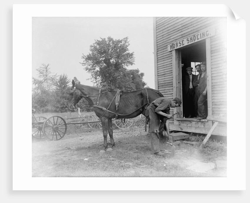 Blacksmith Shoeing a Horse by Anonymous