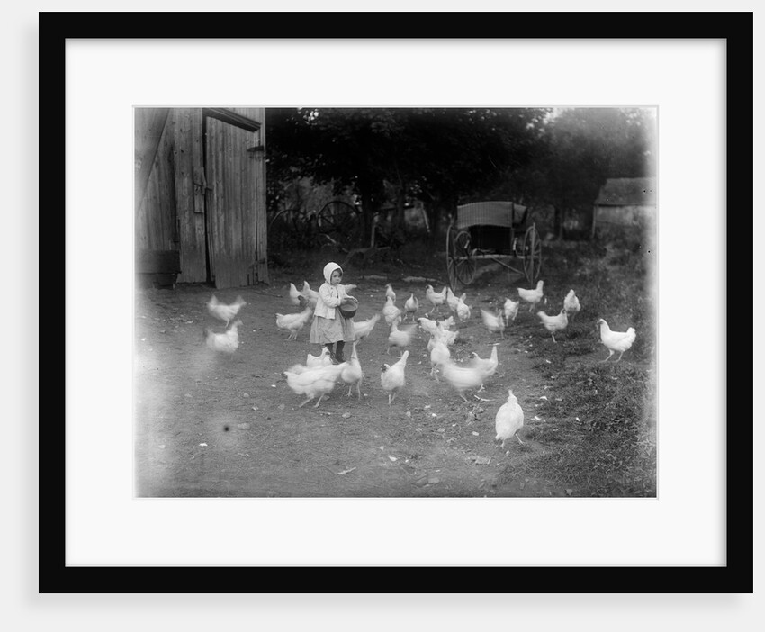 Girl Feeding Chickens by Anonymous