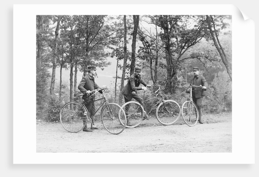 Bicyclists in Central Park by Anonymous