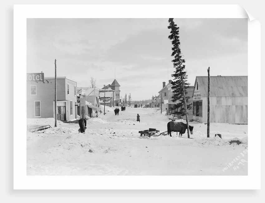 First Street in Atlin by Anonymous