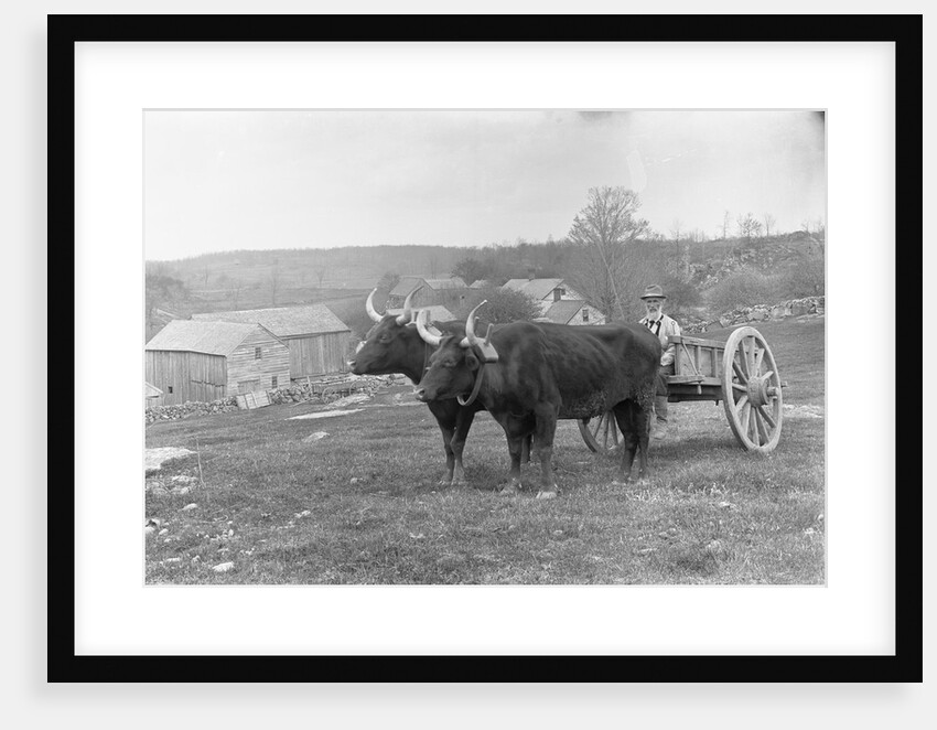 Farmer on Ox Cart by Anonymous