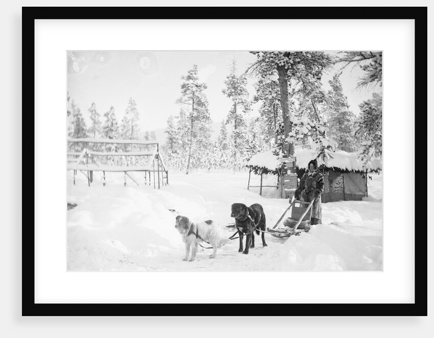 Man with Dogsled by Anonymous