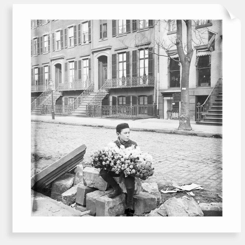 Boy Selling Flowers by Anonymous