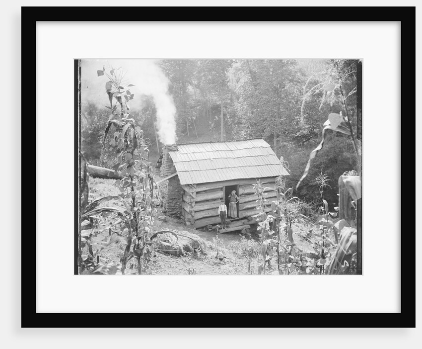 Rustic Cabin by Anonymous