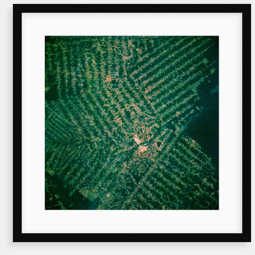 Brazilian Agricultural Fields from Space by Anonymous