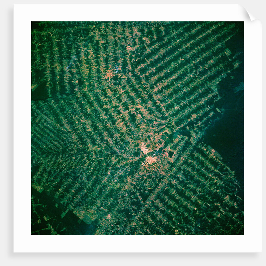 Brazilian Agricultural Fields from Space by Anonymous