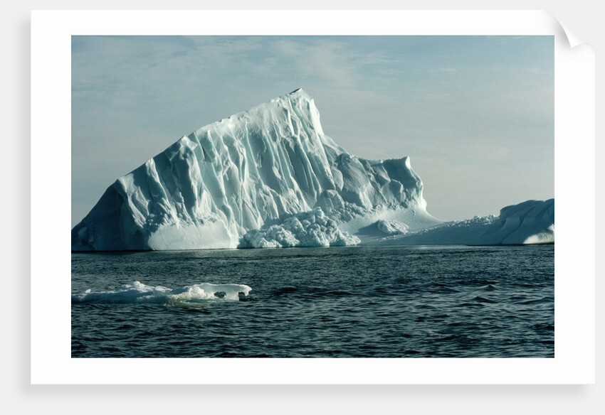 Icebergs in Jones Sound by Anonymous