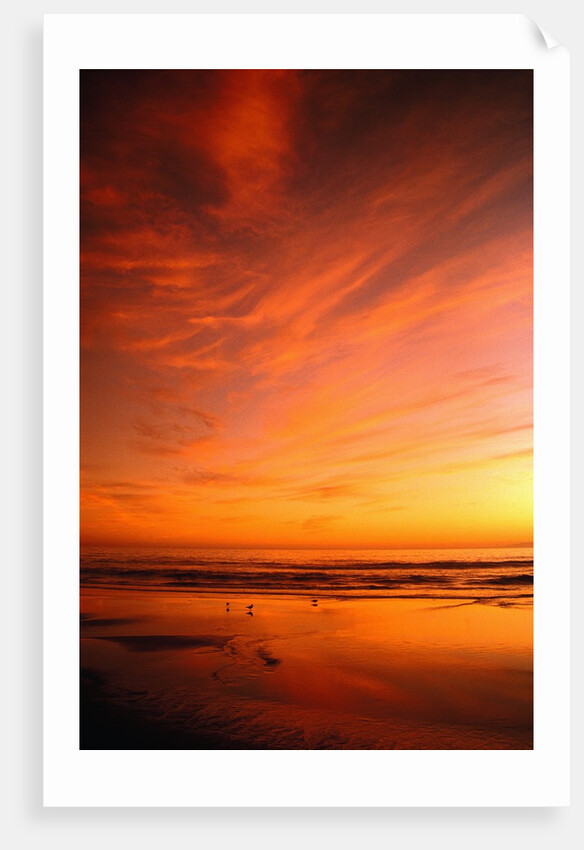 Southern California Sunset at Beach by Anonymous