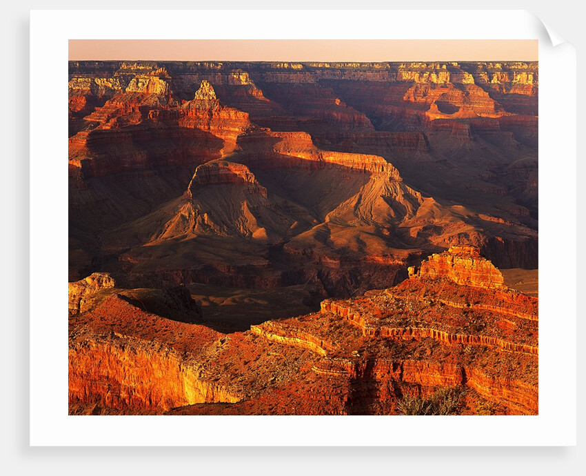 Grand Canyon Bathed in Sunlight by Anonymous