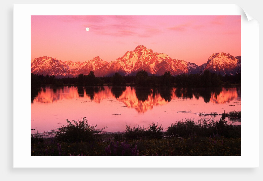 Mount Moran at Dusk by Anonymous