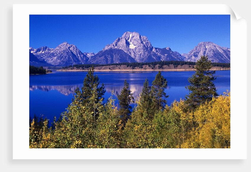 Mount Moran and Jackson Lake by Anonymous