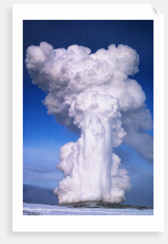 Old Faithful by Anonymous
