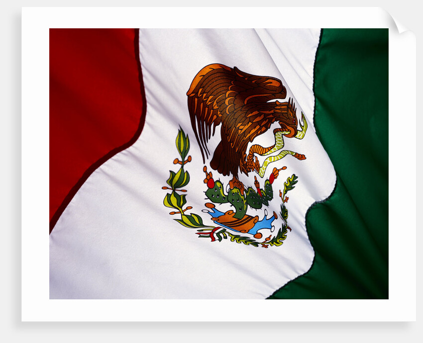 Flag of Mexico by Anonymous