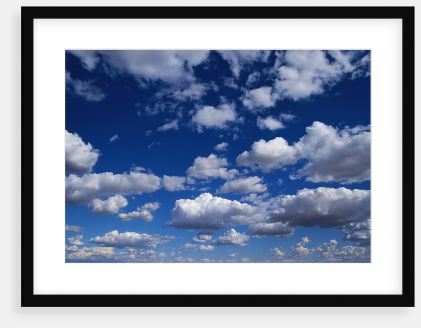 Puffy White Clouds in a Blue Sky by Anonymous