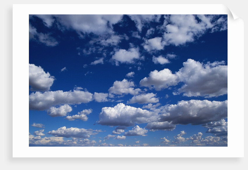 Puffy White Clouds in a Blue Sky by Anonymous