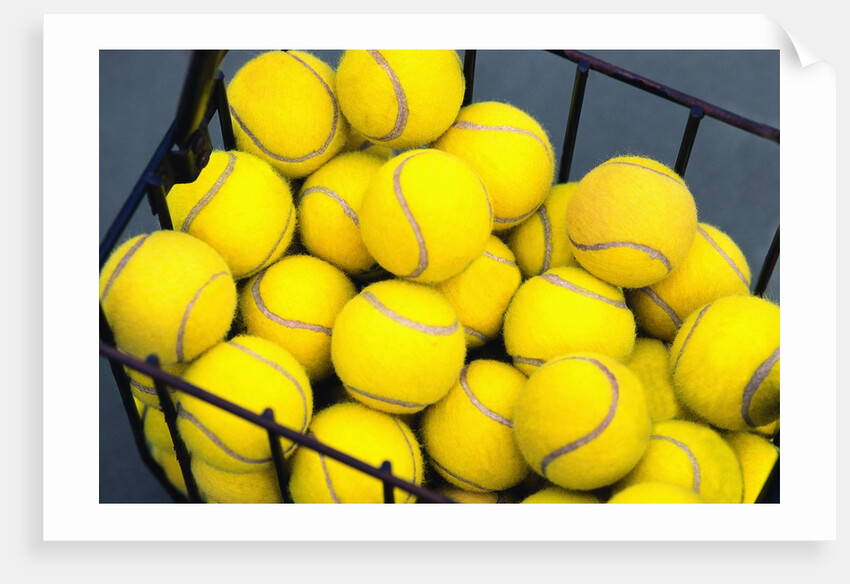 Tennis Balls in Basket by Anonymous