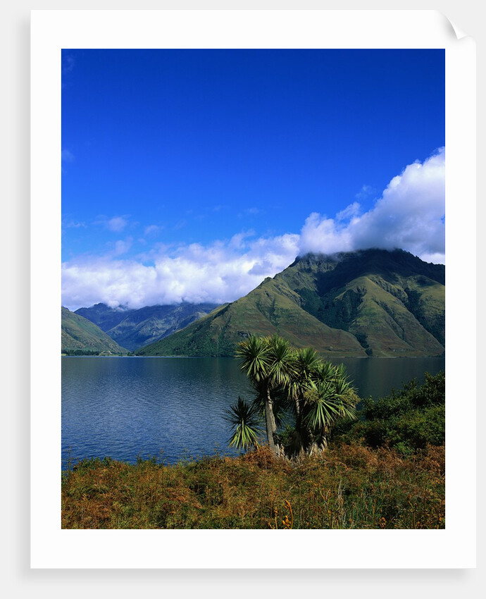 Lake Wakatipu and Mount Hector by Anonymous