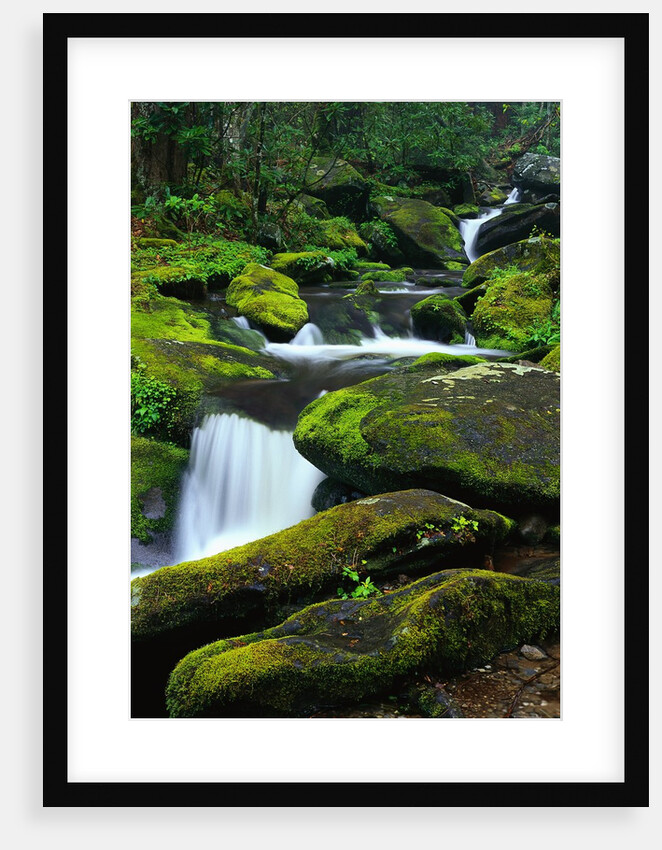 Stream Cascading Down Moss-Covered Rocks by Anonymous