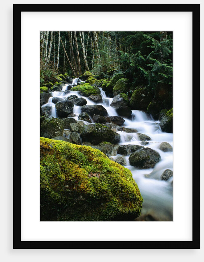 Stream Cascading Down Moss-Covered Rocks by Anonymous
