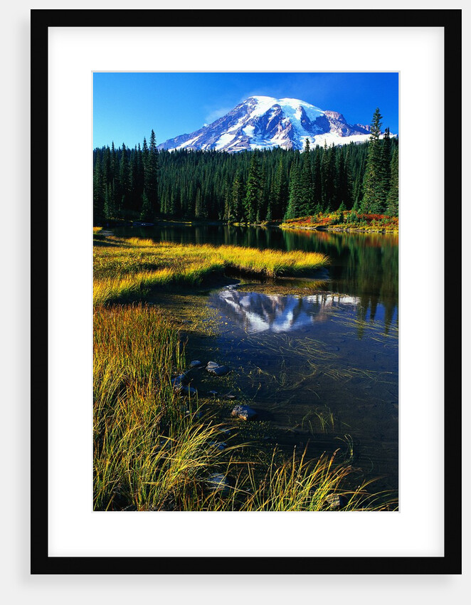 Mount Rainier and Reflection Lakes by Anonymous