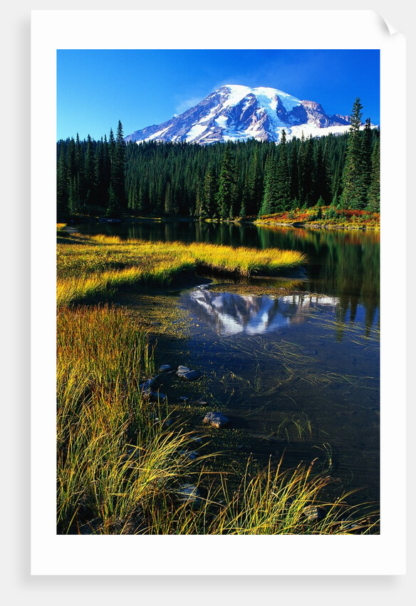 Mount Rainier and Reflection Lakes by Anonymous