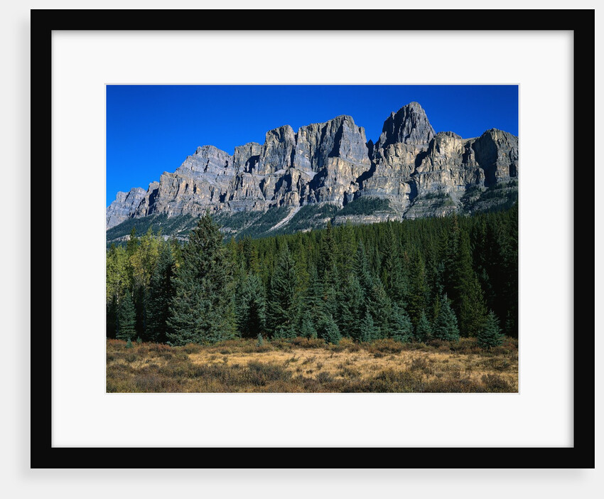 Forest and Castle Mountain by Anonymous