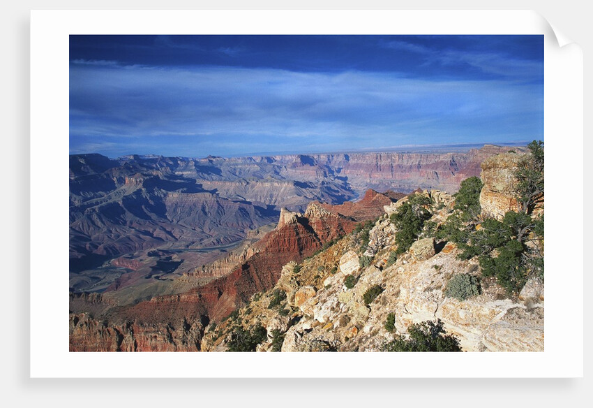 Grand Canyon from Lipan Point by Anonymous