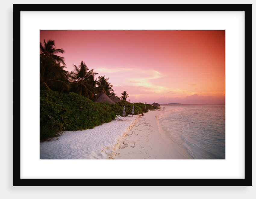 Tropical Beach at Sunset by Anonymous
