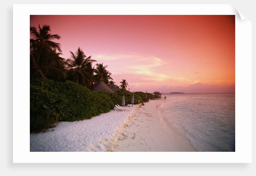 Tropical Beach at Sunset by Anonymous