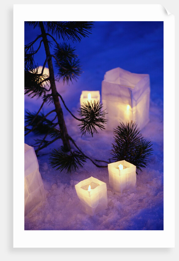 Candles Sitting on Snow by Tree by Anonymous
