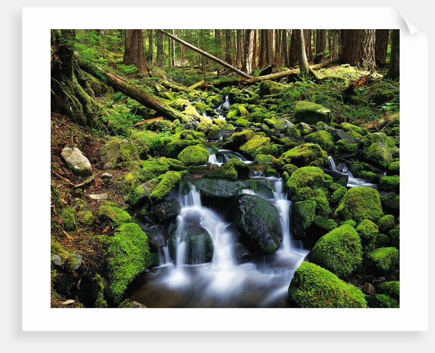 River Winding Between Mossy Rocks by Anonymous