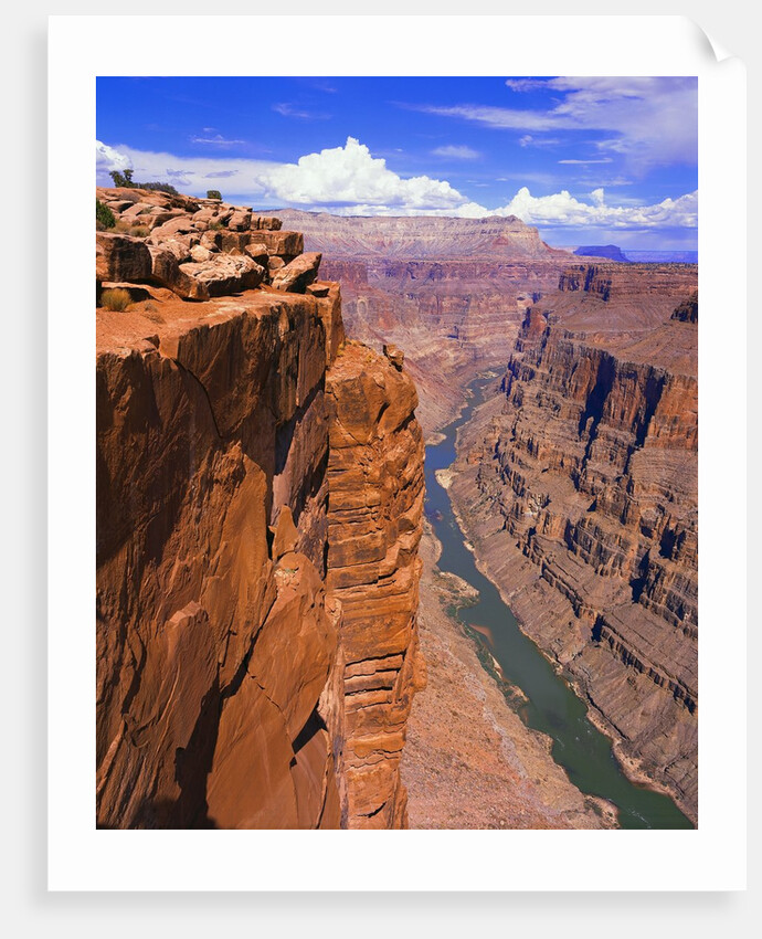 Colorado River in Grand Canyon by Anonymous