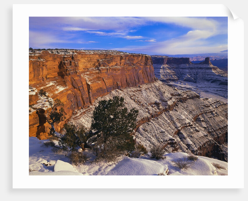 Snowy Canyon from Dead Horse Point by Anonymous