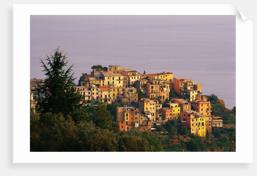 Village of Corniglia on the Italian Riviera by Anonymous