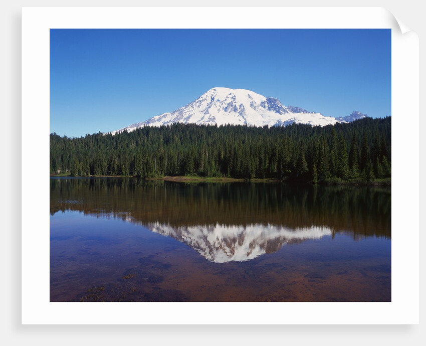 Lake Reflecting Mount Rainier by Anonymous
